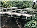 Footbridge at Weycroft in EX13 5HN