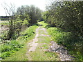 Unnamed track near Scotton in Scotton (West Lindsey)