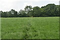 Tandridge Border Path in TN8 6QE