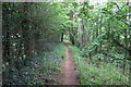 Footpath along the top of the cutting in Middleton Cheney