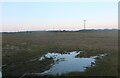 Wet field in Little Laver in CM5 0JF