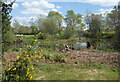 Pond at Eversley Cross in Eversley Cross