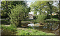 A small shallow pond in GU46 7QT