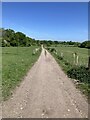 Bridleway to Lollesworth Lane in KT24 6HS