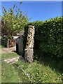 Wood sculpture in Long Reach in GU23 6PQ