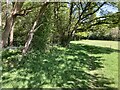 Footpath alongside Hook Wood in KT11 1NL