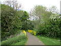 Footpath and footbridge, Corby in NN17 1PH