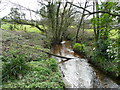 River Cober - downstream in TR13 0HP