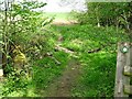 Footbridge over a brook on the Centenary Way in Mercaston