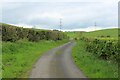 Narrow Lane leading to Pant End Farm in Lupton
