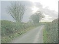 Pencefn road north of Plas Tirion Farm in LL55 4RA