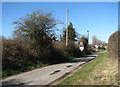Looking NW on Pond Road in Antingham
