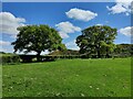 Trees and farmland near Belle Eisle Farm in Bausley with Criggion Community