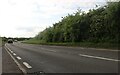 The A6116, Sudborough Road in Sudborough