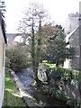 River Chew behind Pensford Church in BS39 4AL