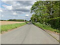 Dilham Road alongside Mucklefield Plantation in NR28 9SB