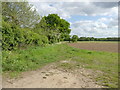Farm track beside woodland in NR28 9SB