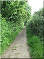 Path near Flatford Mill in CO7 6UD