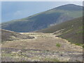 Cors fynydd / An upland bog in LL54 7RF