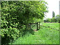 Bridleway close to the River Wissey, Stoke Ferry in PE33 9TQ