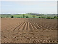 Furrowed field near Merriness in PH1 1QL