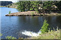 Wooded spit, Carno Reservoir in NP23 5EJ