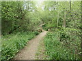 Footbridge over a nameless stream, Shoreburs Greenway in SO19 1RG