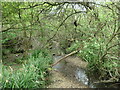 Downstream from a footbridge, Shoreburs Greenway in SO19 1RG