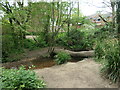 Informal footbridge, Shoreburs Greenway in SO19 0JF