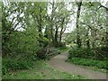 Footbridge near Imber Way, Shoreburs Greenway in SO19 0JF
