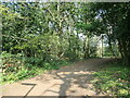 Woodland path to Blendworth Lane, Harefield in SO18 3AA