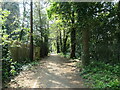 Woodland path to Thornhill Park Road, Southampton in SO18 3AA