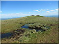 Boggy patch on King's Seat Hill in FK14 7PX