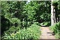 Basingstoke Canal and towpath at Sheerwater in GU21 5TL