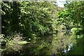 Basingstoke Canal, adjacent to Blackmore Crescent in GU21 5TL