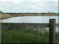 Reedbeds from the northern viewing screen, RSPB Otmoor in OX5 2QT