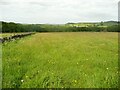 Ripponden Footpath 86 crossing a meadow, Barkisland in HX4 0HQ
