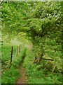 A narrow enclosed part of Ripponden Footpath 86, Barkisland in HX4 0HQ