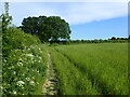 Footpath near Manor Farm in TN12 9AQ