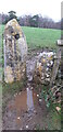Stone Stile south-east of Sherman's Wood GS9328 in GL6 6ED