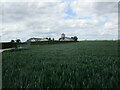 Wheatfield and Red House Farm in PE11 4DE