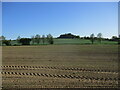 Prepared field and Higham Hill in CO7 6LF