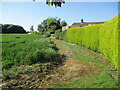 Field edge, Holton St. Mary in Holton St. Mary