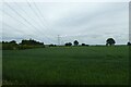 Fields and overhead cables in YO41 5LH