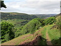 Llwybr i Droedrhiwgwair / Path to Troedrhiwgwair in NP23 8AU