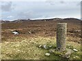 Suisnish Hill Trig Point Flush Bracket S9745 in IV40 8NY