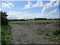Farm track off Prickwillow Road in CB7 5RG