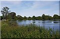 Vinnetrow Lake near Chichester in PO19 8HX