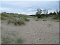 Sand dunes, East Nairn in IV12 5BY