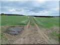 Track between fields  near Cloves in IV30 8UE
